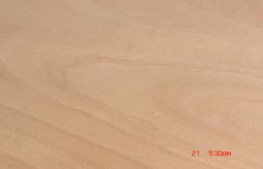 Роторный желтый цвет Okoume отрезка смотрит на облицовку, 0,20 mm - 0,60 mm толщины