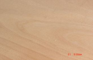 Облицовка естественного желтого вырезывания Okoume роторного деревянная для поверхности мебели